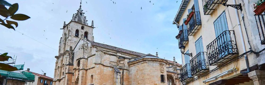 Imagen de la Iglesia de la Magdalena en Torrelaguna