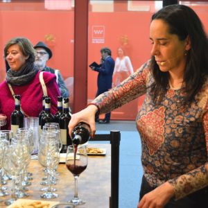 Cata de vinos DOP a cargo de Señorío de Val Azul