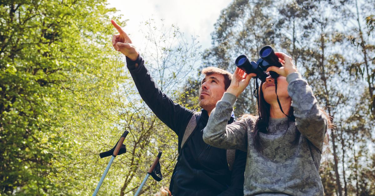 Observación de aves en la Sierra de Guadarrama