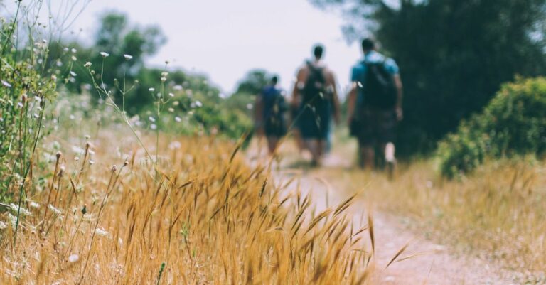 Senderistas recorriendo la Sierra Oeste de Madrid. MadRural