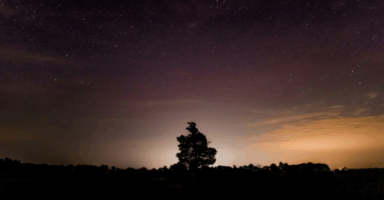 Observación de cielos estrellados en Las Vegas y Alcarria Madrileña